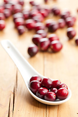 Image showing fresh cranberries