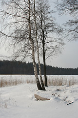 Image showing Winter landscape