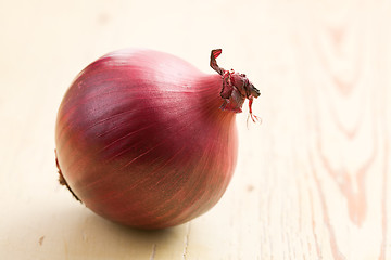 Image showing red onion in kitchen