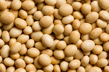 Image showing soya beans background