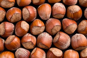 Image showing hazelnuts background