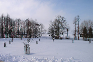 Image showing Winter