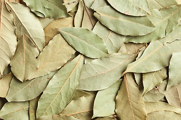 Image showing dry bay leaves background