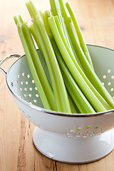 Image showing green celery sticks in colander