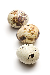 Image showing quail eggs on white background