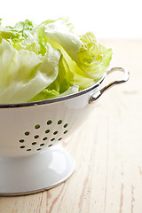 Image showing green lettuce in colander