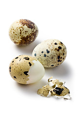 Image showing boiled quail eggs