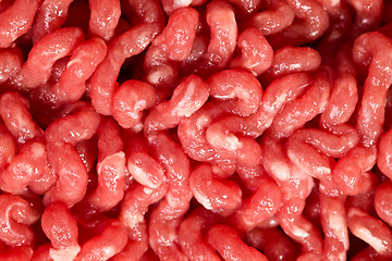 Image showing detail of raw minced meat