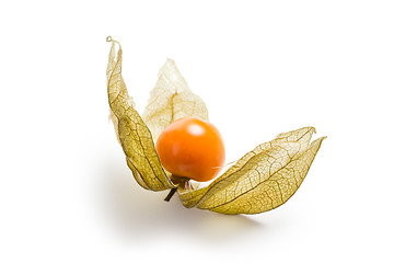 Image showing physalis fruit