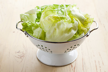 Image showing green lettuce in colander