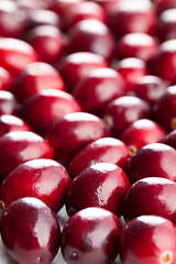 Image showing fresh cranberries