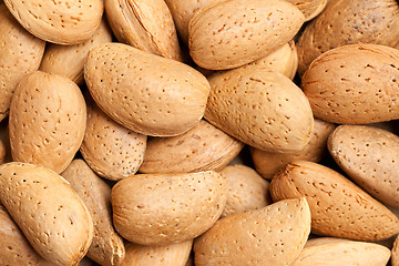 Image showing almonds in nutshell