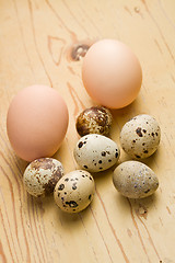 Image showing chicken and quail eggs on white background