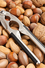 Image showing nutcracker and nuts