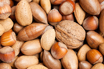 Image showing various nuts