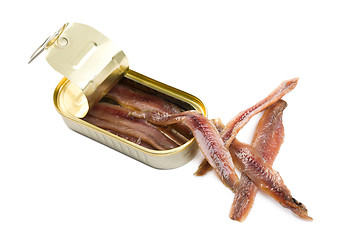 Image showing anchovies fillets in tin can