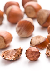 Image showing hazelnuts