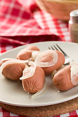 Image showing sour sausage with onion