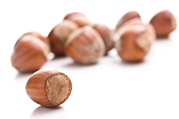 Image showing hazelnuts