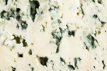 Image showing blue cheese background