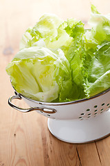 Image showing green lettuce in colander