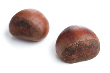 Image showing chesnuts on white background