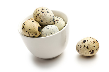 Image showing quail eggs in bowl on white background
