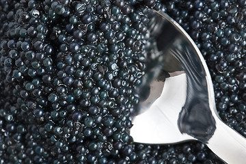 Image showing closeup of black caviar