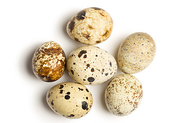 Image showing quail eggs on white background