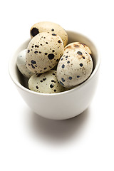 Image showing quail eggs in bowl on white background