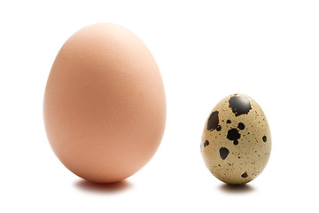 Image showing chicken and quail eggs on white background