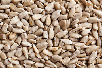 Image showing sunflower seeds