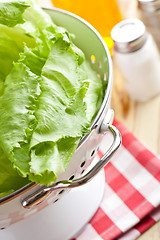 Image showing green lettuce in colander