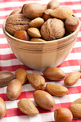 Image showing various nuts