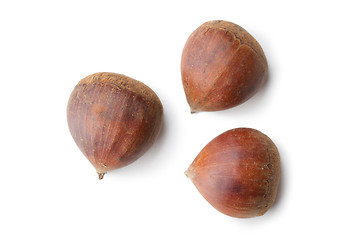 Image showing chesnuts on white background