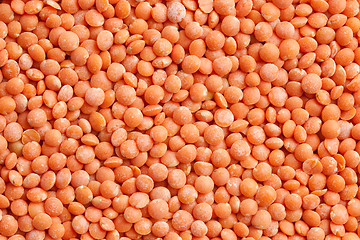 Image showing red lentils background