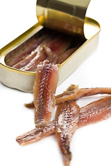 Image showing anchovies fillets in tin can