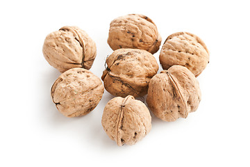 Image showing walnuts on white background