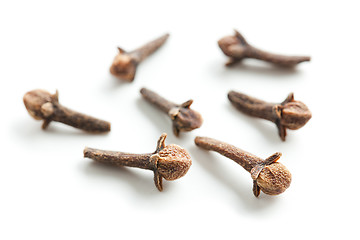 Image showing cloves on white background