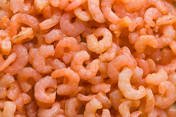 Image showing small shrimps