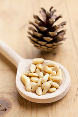 Image showing the pine nuts