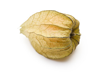 Image showing physalis fruit