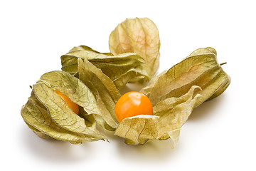 Image showing physalis fruit