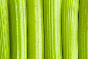 Image showing green celery background