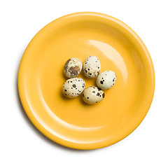 Image showing quail eggs on yellow plate