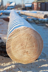 Image showing Log at a construction site in winter