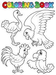 Image showing Coloring book bird image 1
