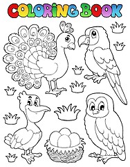 Image showing Coloring book bird image 4