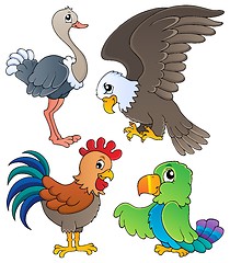 Image showing Various birds theme set 1