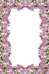 Image showing Blossom Frame